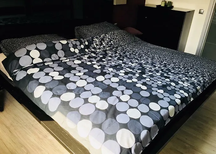 Ala Apartment Zabrze